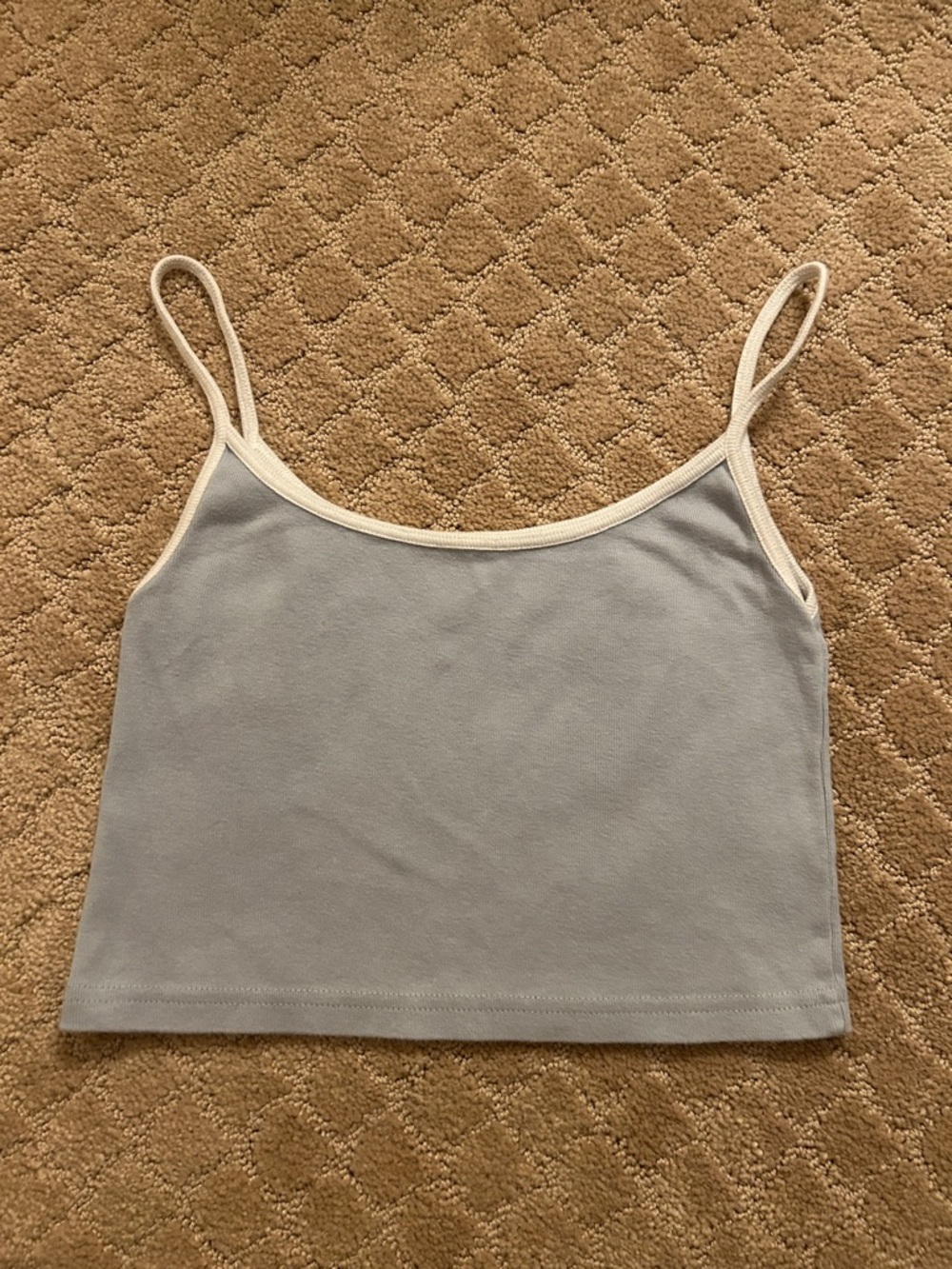 Brandy Melville Blue Cotton Tank